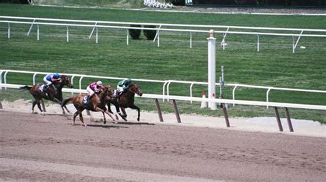 Tips for going to Belmont Stakes .